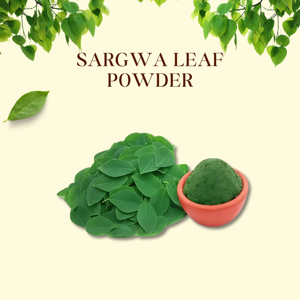 Bhagvat Prasadam Sargwa Leaf Powder Moringa Powder close-up