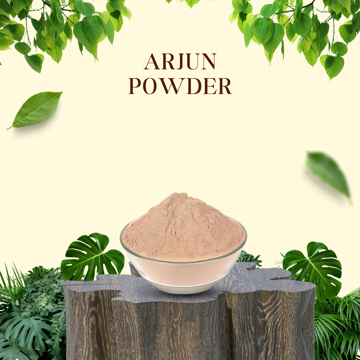 Arjun Powder - Ayurvedic powder - ingredients and usage details