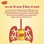 Gau Dham Traditional Desi Cow Ghee - ingredients and usage details
