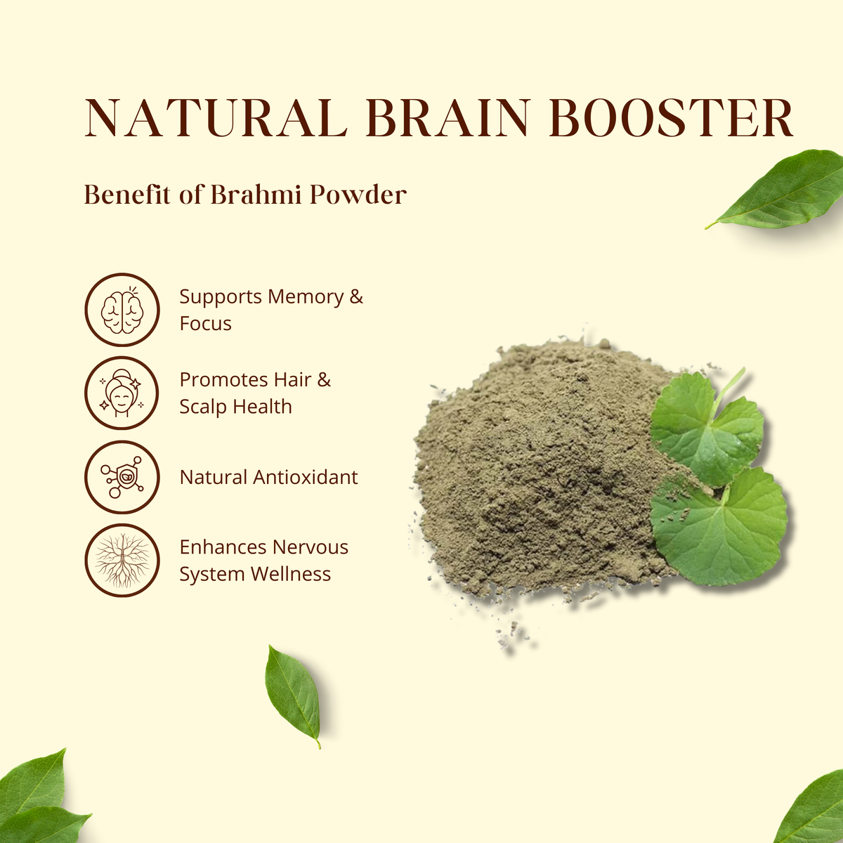 Bhagvat Prasadam Brahmi Powder