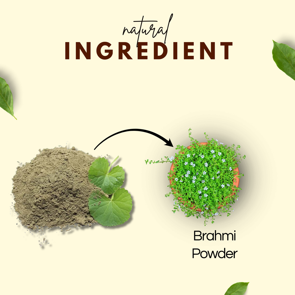 Bhagvat Prasadam Brahmi Powder