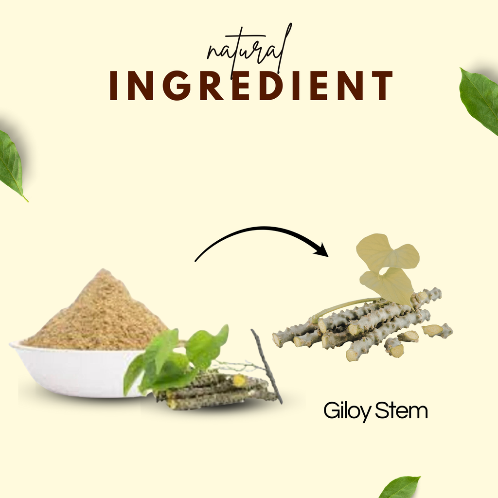 Bhagvat Prasadam Giloy Powder nutritional information
