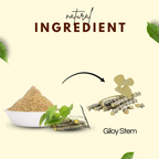 Bhagvat Prasadam Giloy Powder nutritional information