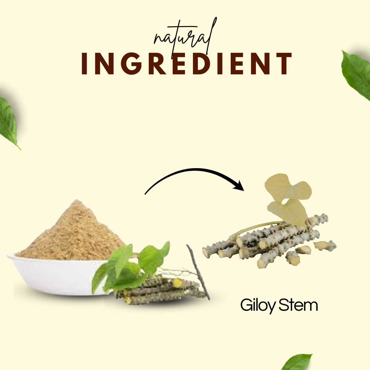 Bhagvat Prasadam Giloy Powder nutritional information