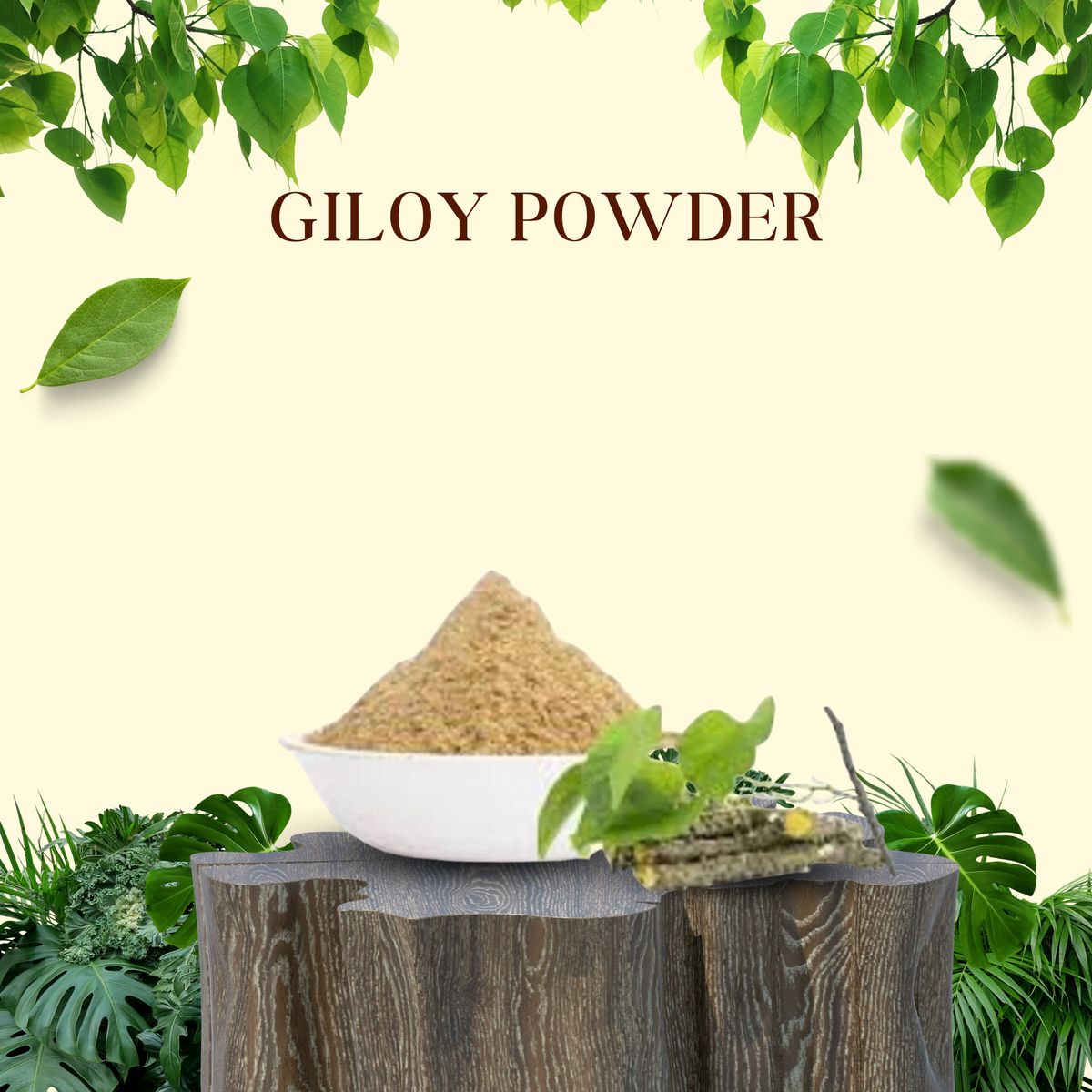 Giloy Powder ingredients and usage details