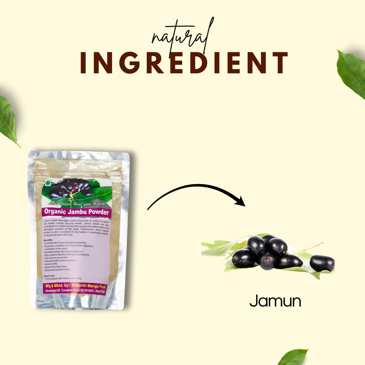 Premium Quality Jamun Fruit Powder
