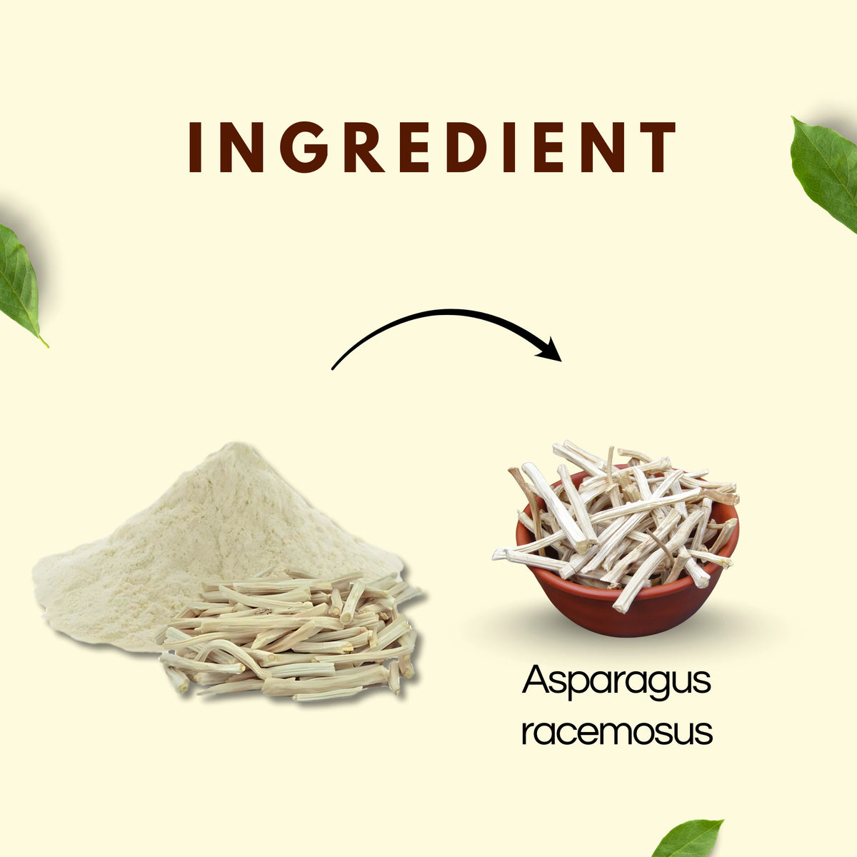 Satavari Powder | Natural Ayurvedic Herb - nutritional information label