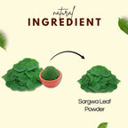 Bhagvat Prasadam Sargwa Leaf Powder ingredients and usage